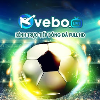 vebozchcc